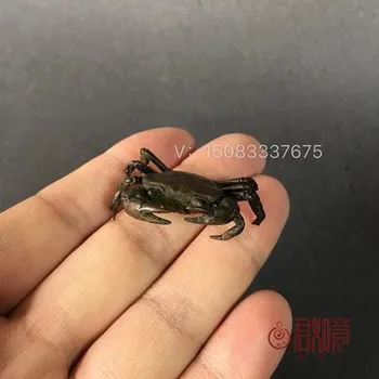 Face mini-piese de bronz vechi de crab în imitație de epocă