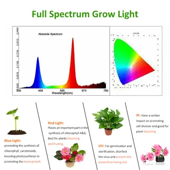 Phytolamp Pentru Plante de Interior LED-uri Cresc Light E27 Becuri de 50W 80W 30W Full Spectrum Fito Lampa cu Lumini De Flori Orhidee Suculente