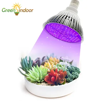 Phytolamp Pentru Plante de Interior LED-uri Cresc Light E27 Becuri de 50W 80W 30W Full Spectrum Fito Lampa cu Lumini De Flori Orhidee Suculente