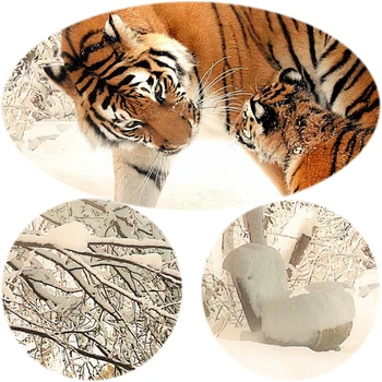Animale Postere si Printuri de Arta de Perete Panza Pictura Flori de Doi Tigri în Zăpadă Imagini pentru Living Decor Acasă Nici un Cadru