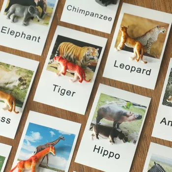 Montessori Animal Carduri de Meci Și Animale de Fermă Figurine Limba Materiale Montessori Jucărie de Învățare Pentru Copii mici B1364T