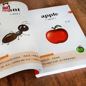 Copii De Învățare Limba Engleză 300 De Cuvinte Carte Cu Poze Zero Bază Manuale Învețe Limba Engleză De La Zero Cărți De Limba Engleză Vorbită Manuale