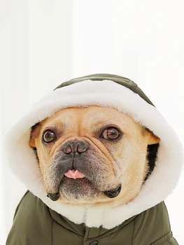 Toamna Și Iarna Haine De Câine Captusit Cu Gluga Haina Cald Bulldog Francez Chihuahua Solid De Culoare De Îmbrăcăminte De Îmbrăcăminte Pentru Animale De Companie