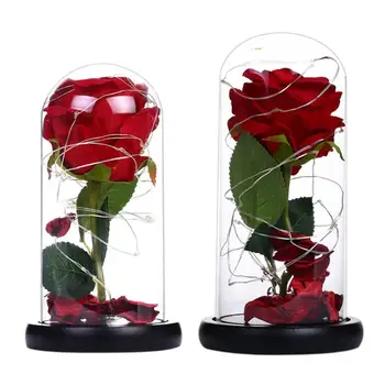 20LED Lumini de Noapte Flori de Trandafir în Cupolă de Sticlă Sârmă de Cupru Șir de Lumini pentru Petrecerea de Nunta Cadou de Ziua Îndrăgostiților Decor Acasă
