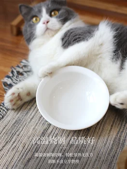 Crescute Ceramice Feeder Cat Castron Pisici Alimente Ridicat Dozator Seringa Cat Boluri din Plastic Gatos Platos Gatos Consumabile pentru animale de Companie OO50MM