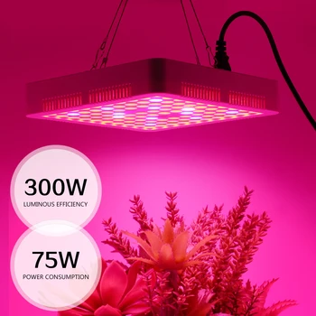 LED-uri Cresc Light 300W, 600W întregul Spectru de lumina Soarelui de Creștere a Plantelor Lampa Pentru Interior Vegetal de Flori Răsad Cort Fitolampy