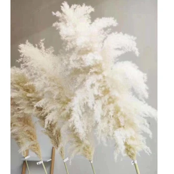 80cm Nunta Speciale Iarbă de Pampas Decor de Mari Dimensiuni Pufos Pene Nunta de Flori, Plante Naturale, Flori Uscate Albe