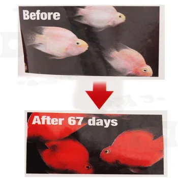 1 bucata acvariu pești ornamentali hrănesc cu Sânge roșu pește papagal alimente Hikari 333g plutitoare adauga culoare