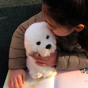 Bichon Frise Cățeluș de Pluș Maltese Câine Jucărie de Pluș Drăguț de Simulare de Animale de companie Pufos Păpuși pentru Copii Cadouri pentru Copii Dropshipping