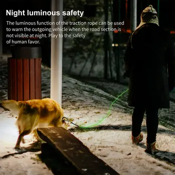 Lumina LED-uri de Câine Lesa Noapte Luminos de Siguranță Intermitent animale de Companie Coarda de Tracțiune guler de Câine Stralucitoare Lese Pisici Accesorii Consumabile
