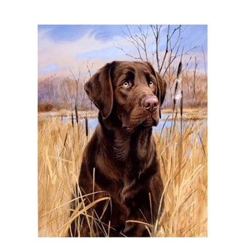Tablou De Numărul de Câine Pentru Desen Ulei Poza Cu Rama 40x50 Pe Panza Manual de Colorat De Numărul Poza Decor Acasă