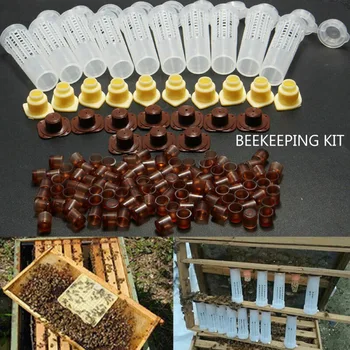 1 Set De Albine Instrumente Cuști Regele Regina De Creștere Cupkit Sistem De Albine Apicultura Catcher Cutie De Celule Cupe Cușcă Nicot Kit Complet