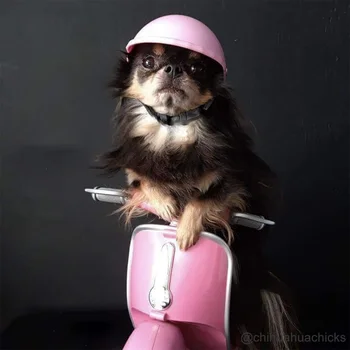 Amuzant Pălărie pentru animale de Companie Câine Casca Motocicleta ABS Capac Pentru Mici, Mijlocii, Câini, Pisici Bulldog francez de Vară Accesorii Petrecere Costume
