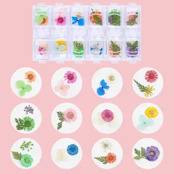 Makartt Unghii Flori Uscate Nail Art cu Clar Poly Gel de Unghii 50ML, 36 Culori Mini Reale Flori Uscate Unghii, Pensete pentru Inlay Cuie