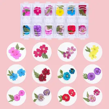 Makartt Unghii Flori Uscate Nail Art cu Clar Poly Gel de Unghii 50ML, 36 Culori Mini Reale Flori Uscate Unghii, Pensete pentru Inlay Cuie