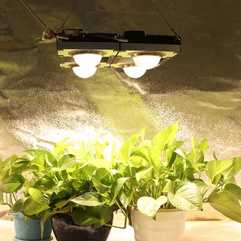 CREE CXB3590 COB LED-uri Cresc de Lumină întregul Spectru 300W 400W Cetățean Plante LED-uri Cresc Lampa pentru Interior Cort Sere Hidroponice de Plante