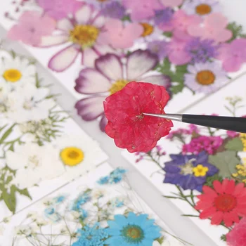 1 Sac De Flori Uscate la UV Rășină Decorative de Flori Naturale Autocolante 3D Uscat Frumusete Decal Epoxidice Mucegai DIY Umplere Bijuterii
