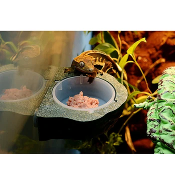 Mini Magnet Alimentare Margine Pentru Gecko Dieta, Alimente sau Apa si pahar de Plastic Castron