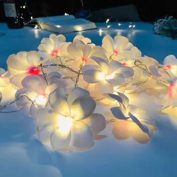 Vacanta 20LED Artificiale de Flori de Viță de vie cu LED-uri Zână Șir Lumina Alimentat Agățat Ghirlanda Decorativa Lampa De Gradina cu LED-uri Benzi 4