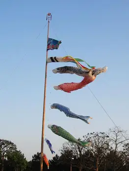 5pcs 55cm Crap Japonez Koinobori Moriști Banner Flag Pește Zmeu Vânt Streamer Celebrare Decorare-5 Culori SET