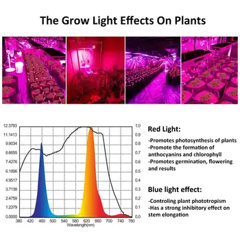 Phlizon 1200W, 1500W 1800W 2000W creștere lumina pentru plante full spectrum led-uri cresc light 220v grădină interioară hidroponice lampa