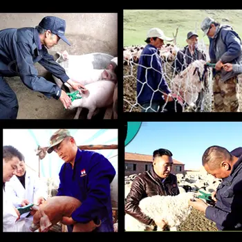 1 Buc Crotalii Clește De Tăiere Din Plastic Marca Remover Bovine Vacă Oaie Capră Porc Crotalie Clește De Tăiere Animalele De Fermă Instrumente