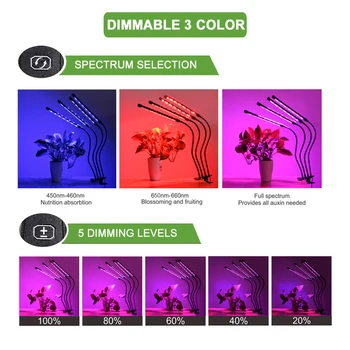 Phytolamp Pentru Plante Full Spectrum Led-Uri Cresc Light Fito Lampa Pentru Plante De Interior, Flori Răsaduri În Creștere Cu Timer Și Reglare A Intensității Luminoase