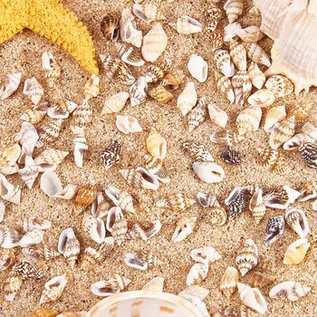 Peste 1300 Buc Mini Bej Natural Conch Shell Margele Litoral Lumânare De Luare De Bijuterii Cowry Cowrie Tribale, Bijuterii Accesorii Ambarcațiuni