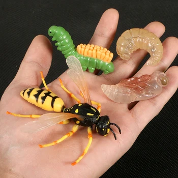 Simulare De Animale Sălbatice Caracatiță,Crocodil Ciclu De Creștere Scorpion Ciclului De Viață, Modele De Figurine De Acțiune Material Didactic De Colectare De Jucării
