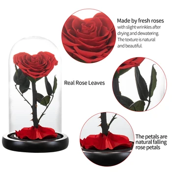 En-gros frumoasa si ia Flori Proaspete Roșu Etern Trandafiri În Cupolă de Sticlă Valentine Cadouri de Craciun pentru Femei Dropshiping