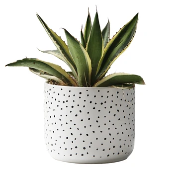 Nordic decor birou ghivece de plante de Aur stripe punct Negru ghiveci minimalista cactus suculentas maceteros decorativas vase de gradina