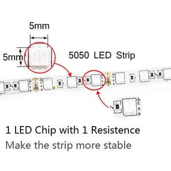 Rezistent la apa 5050 RGB 5M Banda cu LED-uri Panglică LED Strip lumină 12V Flexibil Decorațiuni interioare de Iluminat RGB/Alb/Cald Alb/Albastru/Rosu/Verde