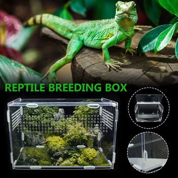 Reproducere De Reptile Cutie Acrilic Hrănire Cutie Pentru Spider Șopârlă Broasca Cricket Turtle Transparent Aprecia Terariu