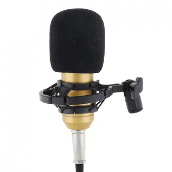 Profesionale BM-700 Microfon cu Condensator cu Circuit de Control și placat cu Aur cu Diafragma Mare Cap pentru Studio / KTV