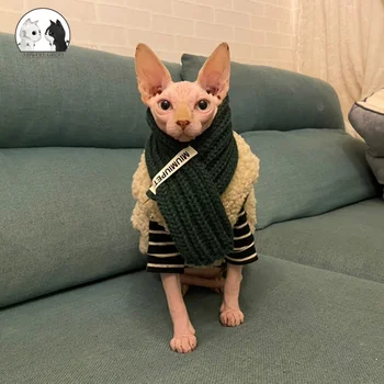 Cald Pisica de Companie de Îmbrăcăminte Îngroșa Pluș Haina Haina pentru Mediu Mic Cățeluș Câine de Iarnă Costum Vesta Chihuahua Bulldog francez fără Păr
