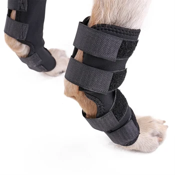 Nou animal de Companie genunchiere Câine Bretele de Sprijin pentru Picior din Spate Articulației Jaretului Folie de ACL/CCL Respirabil Prejudiciu Recupera Picioare Caine Protector de Sprijin