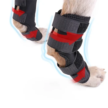 Nou animal de Companie genunchiere Câine Bretele de Sprijin pentru Picior din Spate Articulației Jaretului Folie de ACL/CCL Respirabil Prejudiciu Recupera Picioare Caine Protector de Sprijin
