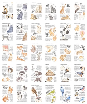 30pcs Animale Ilustrate Manual de Stil Carte Ca Invitatie la Petrecere DIY Decorare Card Cadou Mesaj Carte Poștală