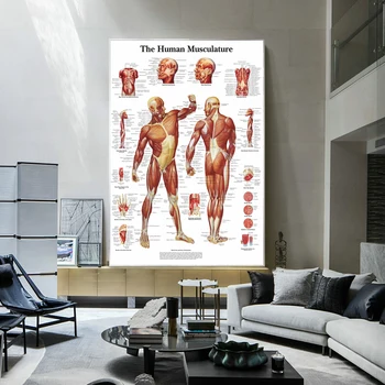 Tablouri Canvas Wall opera de Arta 1 Panou Anatomia Humana HD Imprimare Poster Acasă Decor Modular Imaginile Pentru Camera de zi-Cadru