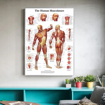 Tablouri Canvas Wall opera de Arta 1 Panou Anatomia Humana HD Imprimare Poster Acasă Decor Modular Imaginile Pentru Camera de zi-Cadru