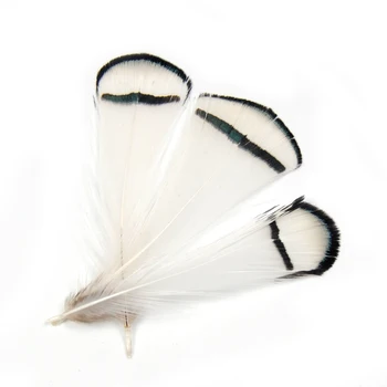 [50BUC] Lady Amherst Tippet Pene Naturale Alb Roșu Galben Roz Mov Verde Culoare Fly Tying Pescuit Streamer Intrus