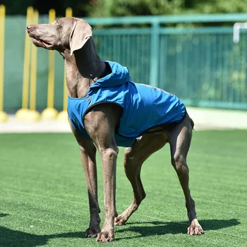 Tot Sezonul Câine De Companie Pelerina De Ploaie Vânt Impermeabil Câine Haine Ușoare De Ploaie Sacou Cu 2 Picioare Hanorace Accesorii Pentru Animale De Companie 2020