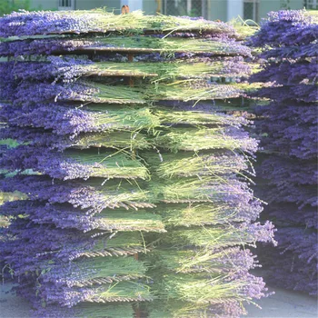 100g Naturale, flori uscate de lavanda pachete muguri de lavanda proaspat de lavanda grămadă de Aromoterapie moda decorative buchet de flori