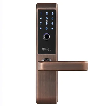 LACHCO 2020 Biometrice Electronice Usa de Blocare de Amprente Inteligent, Cod,Card, Atingeți Tasta Digital cu Ecran de Blocare Parolă pentru acasă A18008F