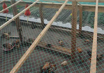 5m *3m Gradina gard de plasă de culoare Verde Siguranța păsări de curte și animale de companie Simplu și convenabil gard de plasă de Pescuit, Grădinărit net