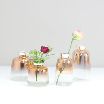 Europa Treptată aur, vaza de sticla terariu recipiente de sticlă Mini flori Mici vaze Sticla Hidroponice Recipient decor Acasă