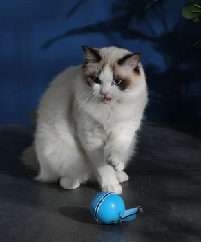 Pisica Pisica Amuzant Mingea Electrice Inteligente Musca Rezistente Și Toamna Rezistente la Pene de Rulare Stralucitoare Curcubeu Lumina de Încărcare USB Jucărie Pisica