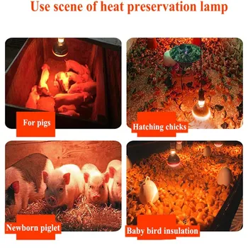 Ferma de Lumină Termice Conservarea Porc Pui E27 Îngroșa Înaltă Calitate Căldură Bec Brooder Lampă de Căldură 220V 100/150/200/250W