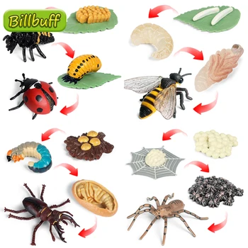 4buc/set Animale Insecte Model de Simulare Gărgăriță Ciclu de Creștere Cifrele de Acțiune Figuri Miniaturale Jucărie de Învățământ pentru copii Cadouri