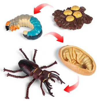4buc/set Animale Insecte Model de Simulare Gărgăriță Ciclu de Creștere Cifrele de Acțiune Figuri Miniaturale Jucărie de Învățământ pentru copii Cadouri